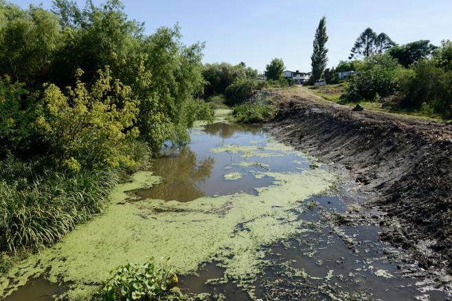 Panario: decreto del agua sigue siendo "groseramente inconstitucional"